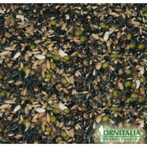 Ornitalia - MISCELA GERMINABILE CANARINI - Σπόροι βλαστώματος για καναρίνι (χρώματος και τύπου) - 1kg