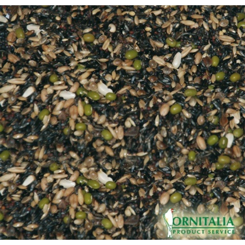 Ornitalia - MISCELA GERMINABILE CANARINI - Σπόροι βλαστώματος για καναρίνι (χρώματος και τύπου) - 1kg