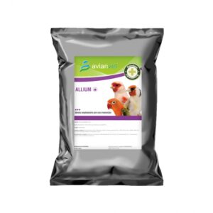 AVIANVET ALLIUM (ΣΚΟΝΗ ΣΚΟΡΔΟΥ) 500GR