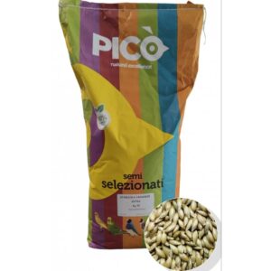 Pico - Scagliola Canadese Extra - Κεχρί (Ασπούρι) Καναδά - 20kg