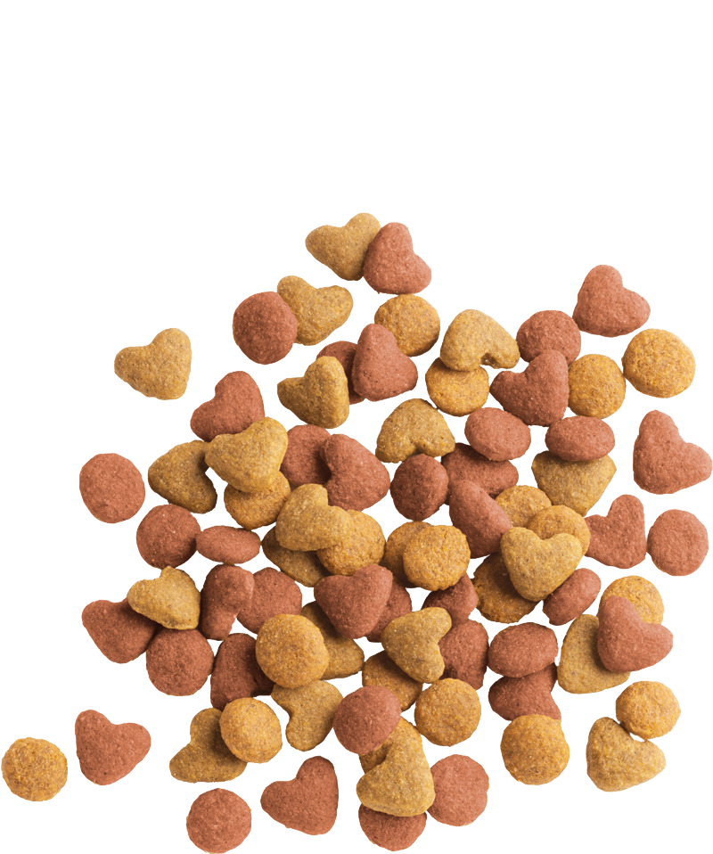 Lara Ξηρά Τροφή Γάτας 2kg - Image 3
